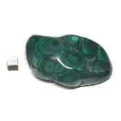 Malachite Morceau Poli 05346