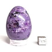 Charoite Oeuf 14905