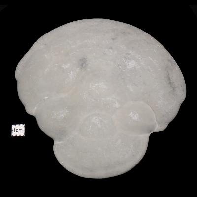 Pierre des Fées Pierre Brute - "Maya" 15273