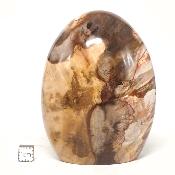 Bois Fossile Forme Libre 15452