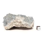 Célestine Pierre brute 15728