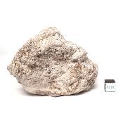 Célestine Pierre brute 15739