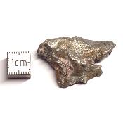 Météorite Sidérite Sikhote-Alin 15982