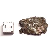 Météorite Sidérite Sikhote-Alin 15994
