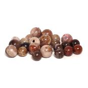 Bois Fossile Perles