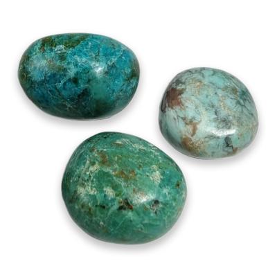 Chrysocolle