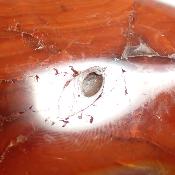 Cornaline chauffée forme libre 15650