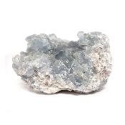 Célestine Pierre brute 15730