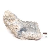 Célestine Pierre brute 15733