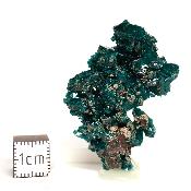 Dioptase Pierre Brute 15769