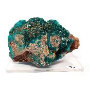 Dioptase Pierre Brute 15774