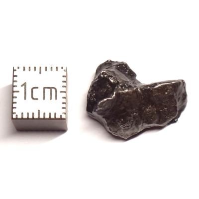 Météorite Sidérite Sikhote-Alin 15985
