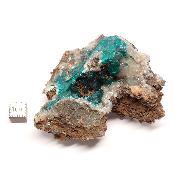 Dioptase Pierre Brute 17873