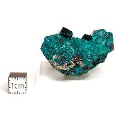Dioptase Pierre Brute 19359