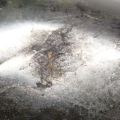 Labradorite Forme Libre 2027