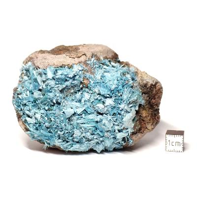 Plancheite Fibreuse - 04804