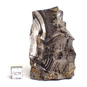 Shungite Cristallisée Pierre brute 05160