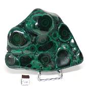 Malachite Morceau Poli n° 05997