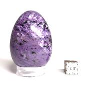 Charoite Oeuf 14905