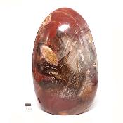 Bois Fossile Forme Libre 15451