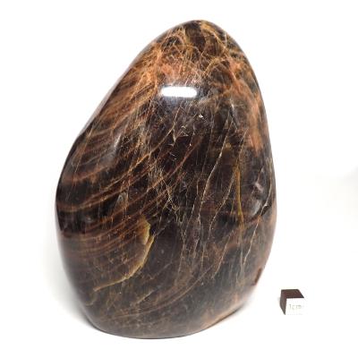 Pierre de Lune Noire Forme Libre 15578