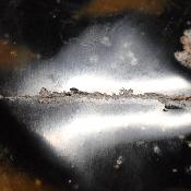 Jaspe Jaune Forme Libre 15640