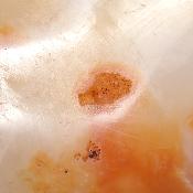 Cornaline chauffée forme libre 15660