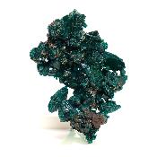 Dioptase Pierre Brute 15769