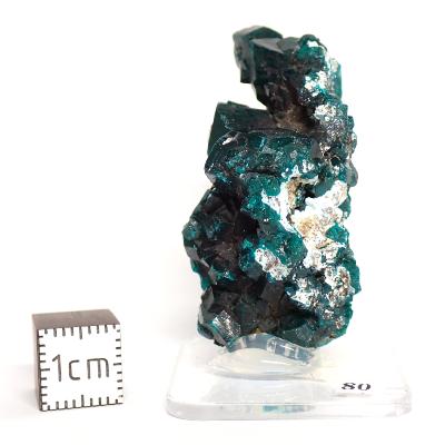 Dioptase Pierre Brute 15779