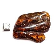 Ambre de la Baltique morceau poli 2036