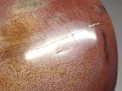 Bois Fossile Coeur 2049