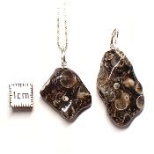 Agate Fossile (Turitelle) Pendentif Pierre Roulée