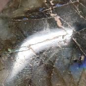 Labradorite Galet n° 05706