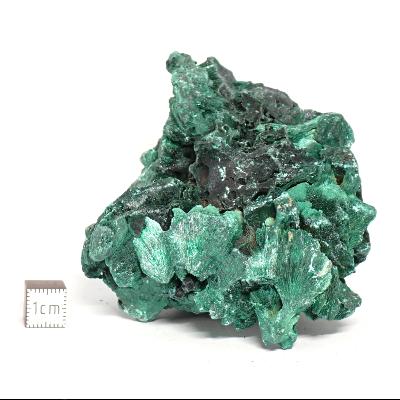 Malachite Fibreuse Pierre Brute n° 05969