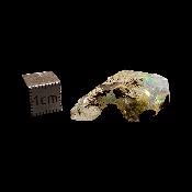 Opale d'Ethiopie - 23.00 carats - 07737