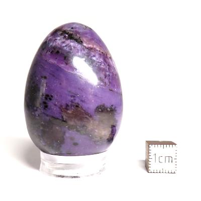 Charoite Oeuf 14903