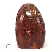 Bois Fossile Forme Libre 15454