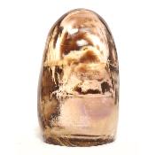 Bois Fossile Forme Libre 15455