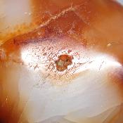 Cornaline chauffée forme libre 15644