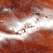 Cornaline chauffée forme libre 15650