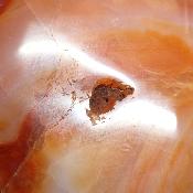 Cornaline chauffée forme libre 15658