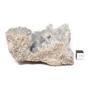 Célestine Pierre brute 15732