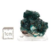Dioptase Pierre Brute 15812