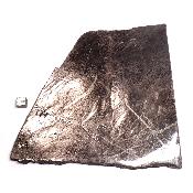 Hypersthène Plaque 10639