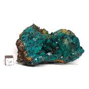 Dioptase Pierre Brute 11734