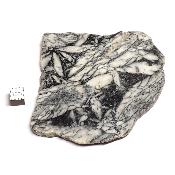 Pinolite Plaque 11934