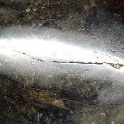 Labradorite pendentif disque 15353