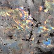 Labradorite Forme Libre 15562