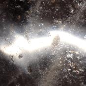 Pierre de Lune Noire Forme Libre 15639