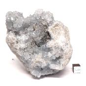 Célestine Pierre brute 15729